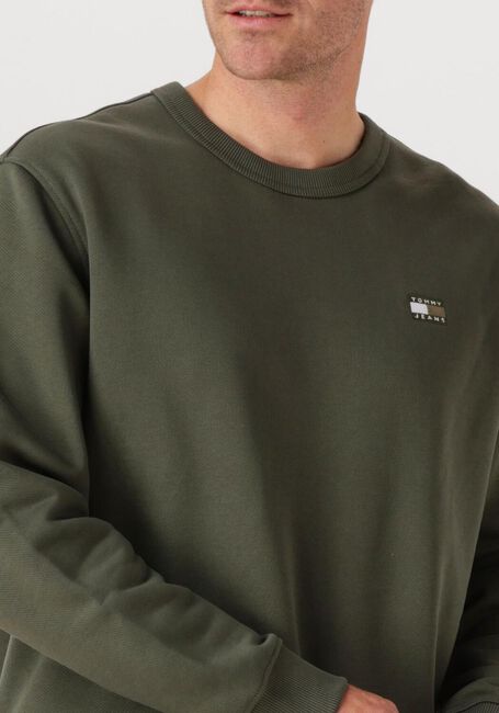 Dunkelgrün TOMMY JEANS Pullover TJM REG BADGE CREW EXT - large
