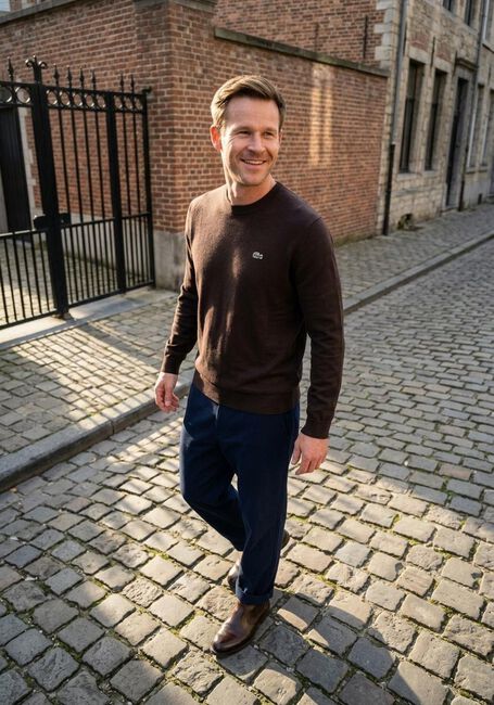 Braune LACOSTE Pullover REGULAR FIT CREW NECK SWEATER - large