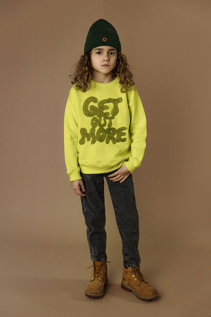 Limette AMMEHOELA Pullover AM.ROCKY.52 - large