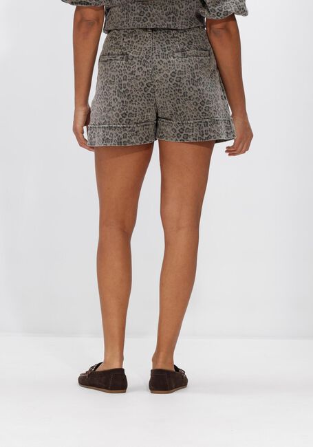 Graue JANICE Kurze Hose ARTHUR - large