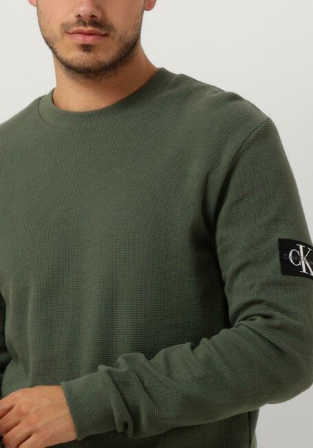 Dunkelgrün CALVIN KLEIN Pullover WAFFLE LS TEE - large