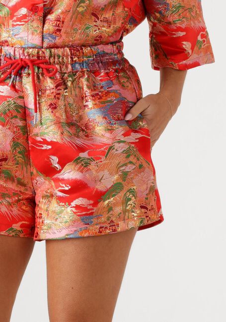 Rosane STUDIO AMAYA Hosen 261-ST31 - large