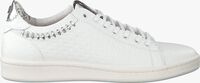 Weiße FLORIS VAN BOMMEL Sneaker 85251 - medium