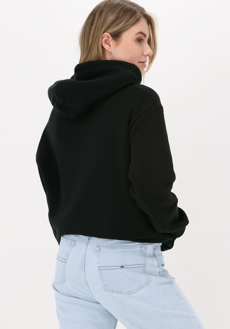 Schwarze TOMMY JEANS Sweatshirt TJW RLXD LINEAR OVERLAY HOODIE - large