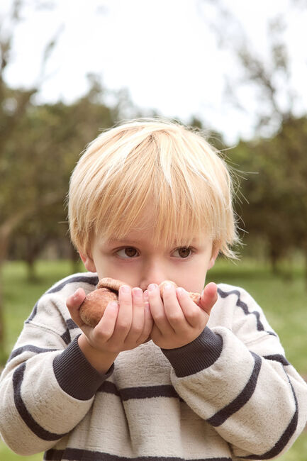 Beige PLAY UP Sweatshirt STRIPED JERSEY SWEATER B - large
