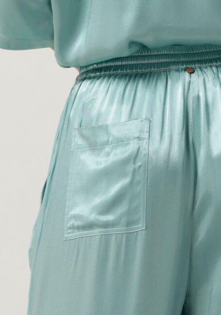 Blaue CIRCLE OF TRUST Weite Hose LYNDI PANTS - large
