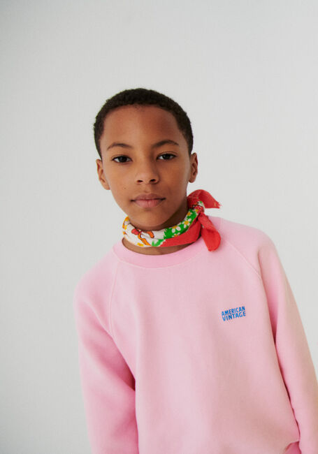 Rosane AMERICAN VINTAGE Pullover IZUBIRD - large