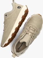 Beige TIMBERLAND Sneaker low WINSOR PARK LOW - medium