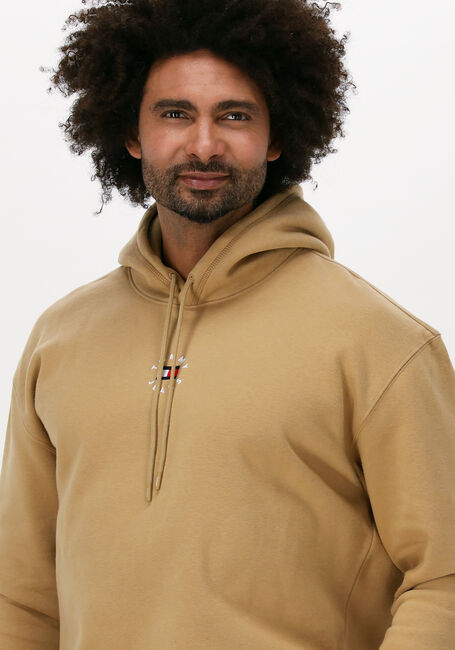 Khaki TOMMY JEANS Sweatshirt TJM TINY TOMMY CIRCULAR HOODIE - large