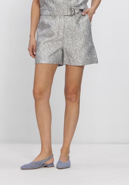 Silberne FREEBIRD Hosen WV-JAQUARD-MINI-26-1 - large