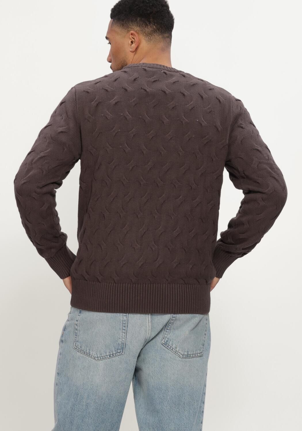 Braune SELECTED MEN Pullover SLMCARLOS LS CABLE CREW NECK - large
