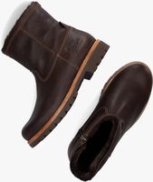 Braune PANAMA JACK FEDRO Ankle Boots - medium