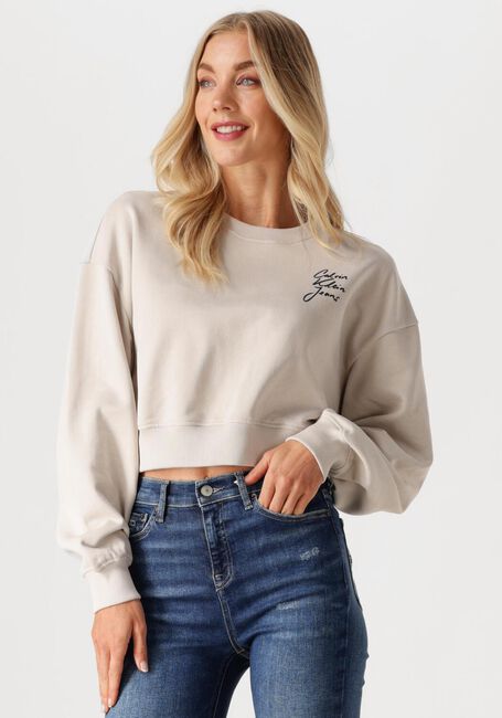 Beige CALVIN KLEIN Sweatshirt SCRIPT INSTITUTIONAL CREWNECK - large