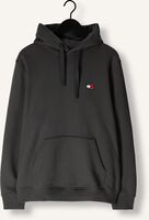 Dunkelgrau TOMMY JEANS Sweatshirt TJM REG BADGE HOODIE EXT Dunkelgrau TOMMY JEANS Sweatshirt TJM REG BADGE HOODIE EXT - medium