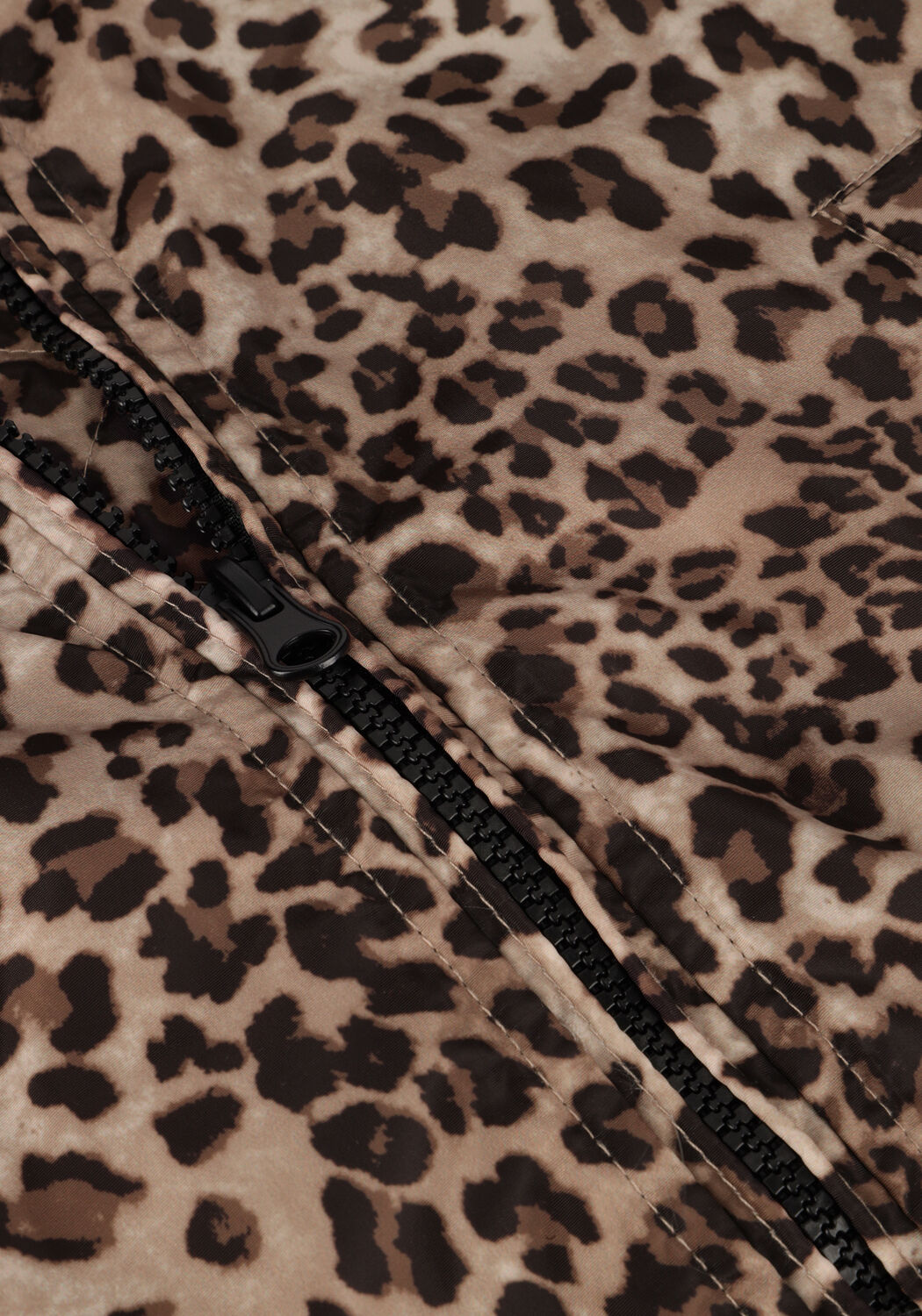 Braune CARS JEANS Jack YELSA - large