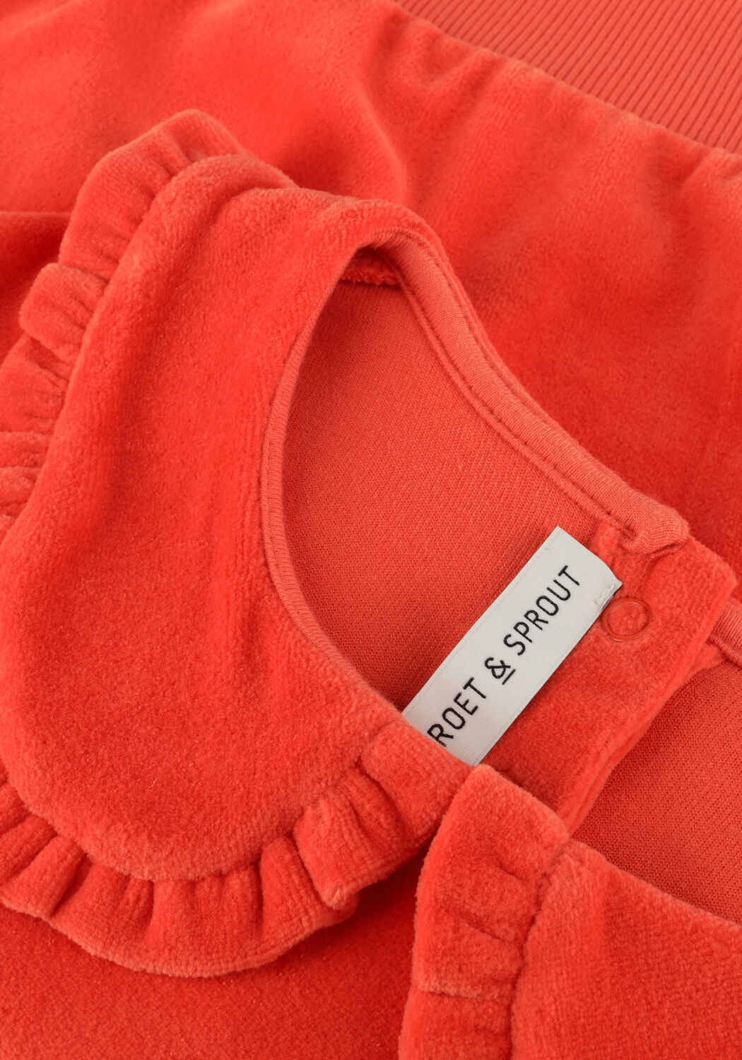 Koralle Sproet & Sprout Sweatshirt SWEATSHIRT VELVET RUFFLE COLLAR - large