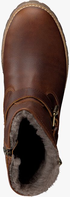 brown PANAMA JACK shoe FAUST IGLOO  - large