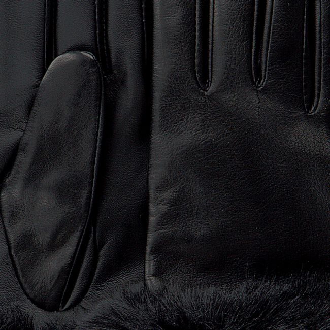 Schwarze TED BAKER Handschuhe JULIAN - large
