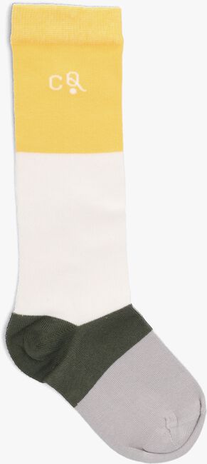 Mehrfarbige/Bunte CARLIJNQ Socken TRI COLORE - KNEE SOCKS - large