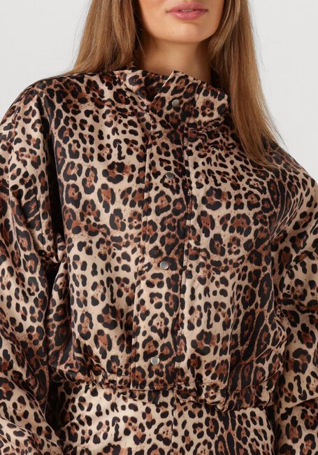 Braune STUDIO AMAYA Jack FELINE - large
