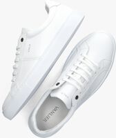 Weiße VAN LIER Sneaker low 2411000 - medium