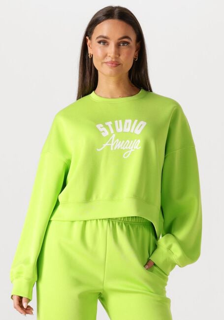 Gr&uuml;ne STUDIO AMAYA Pullover & Cardigans 261-ST6 - large