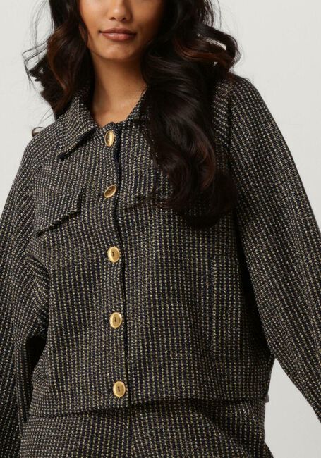 Blaue AMAYA AMSTERDAM Blazer MAISON - large