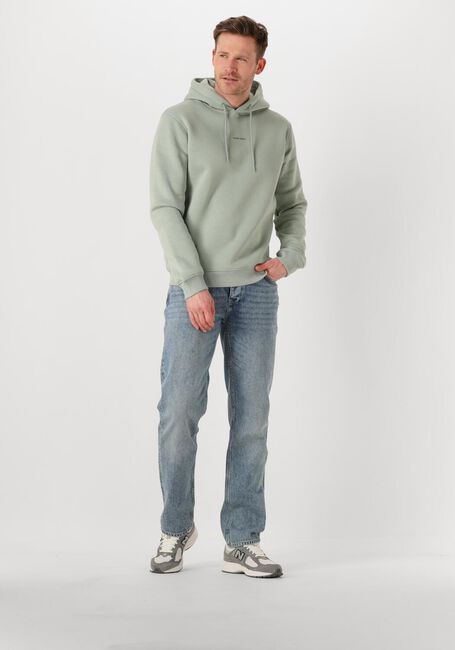Grüne PURE PATH Pullover REGULAR FIT HOODIE LS SWEATERS - large