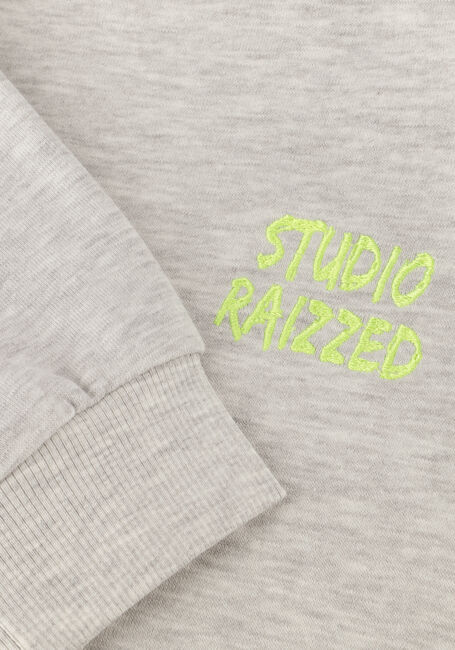 Hellgrau RAIZZED Sweatshirt CELA - large