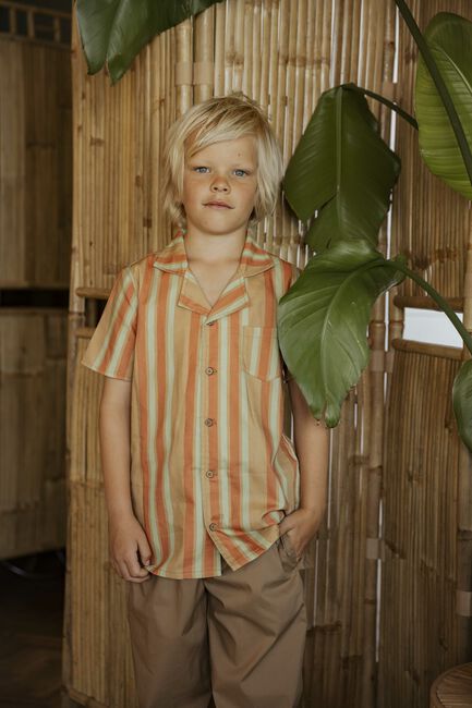 Mehrfarbige/Bunte AMMEHOELA Casual-Oberhemd AM.CODY.03 - large