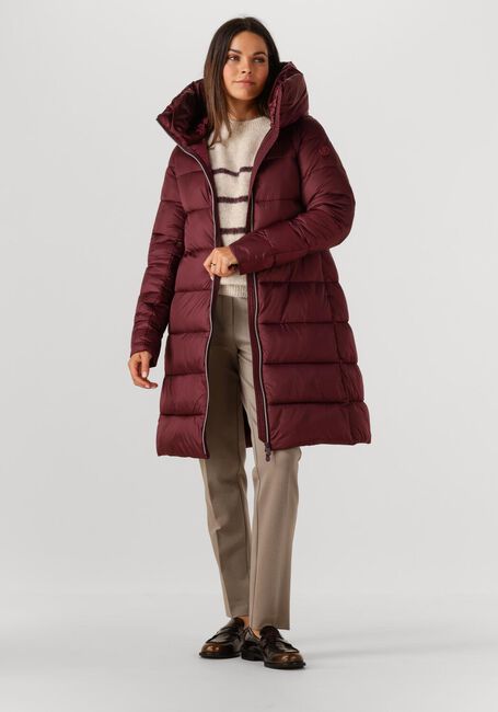 Bordeaux SAVE THE DUCK Wattierte Jack LYSA - large