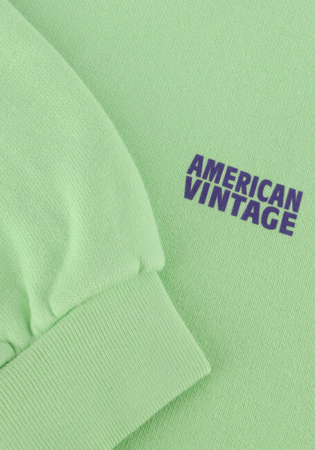 Grüne AMERICAN VINTAGE Pullover IZUBIRD - large