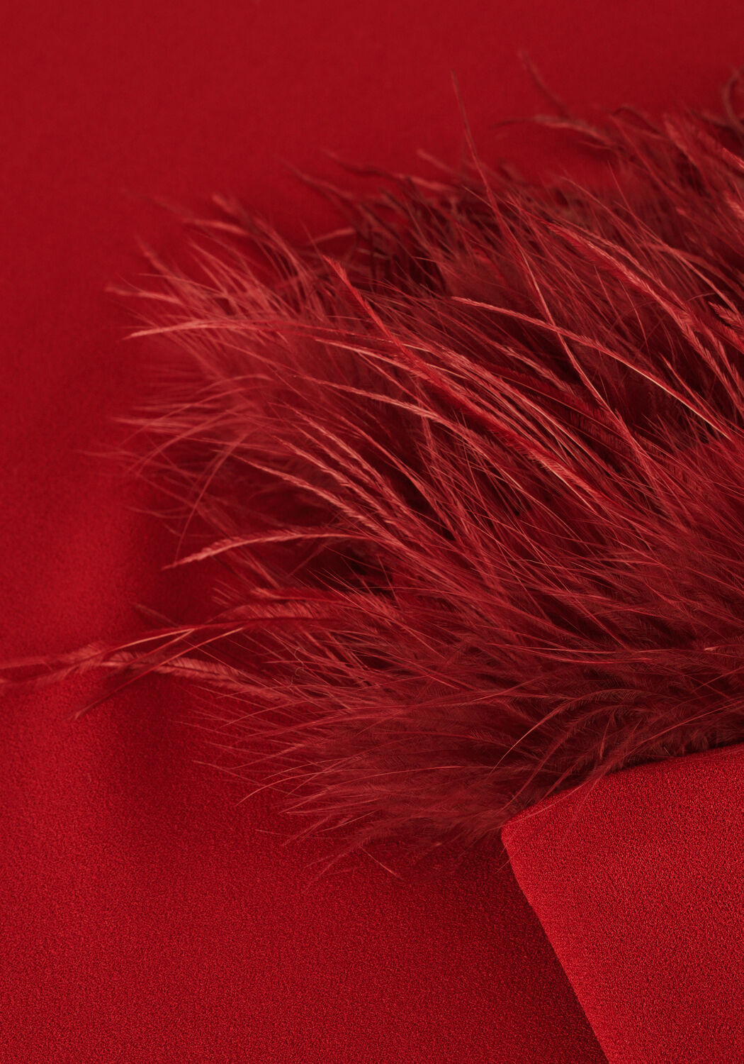 Rote ANA ALCAZAR Minikleid DRESS FEATHERS - large