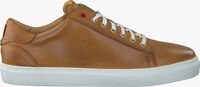 Cognacfarbene GREVE Sneaker low 6185 - medium