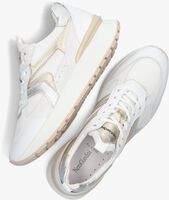 Weiße NERO GIARDINI Sneaker low 409875 - medium