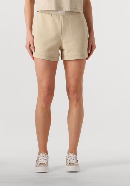 Beige CALVIN KLEIN Hosen PLACED INSTITUTIONAL SHORT - large