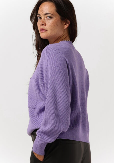 Lilane MSCH COPENHAGEN Pullover DAROSE JILI O NECK PULLOVER - large