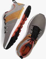 Graue TIMBERLAND Sneaker low SPRINT TREKKER LOW FABRIC - medium