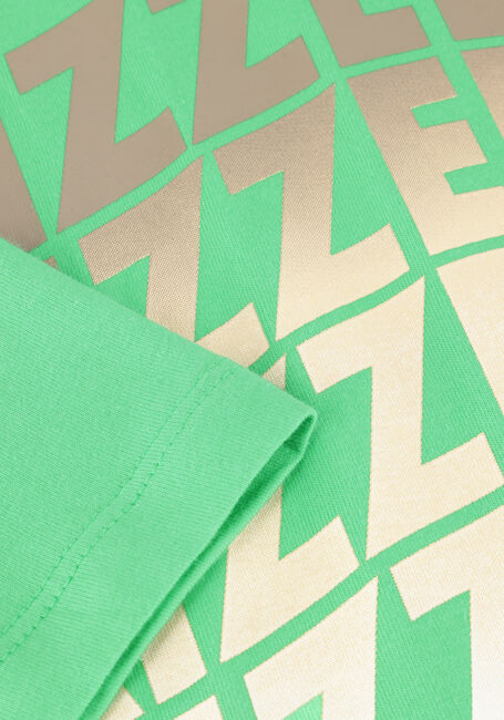 Grüne RAIZZED T-shirt HAW - large