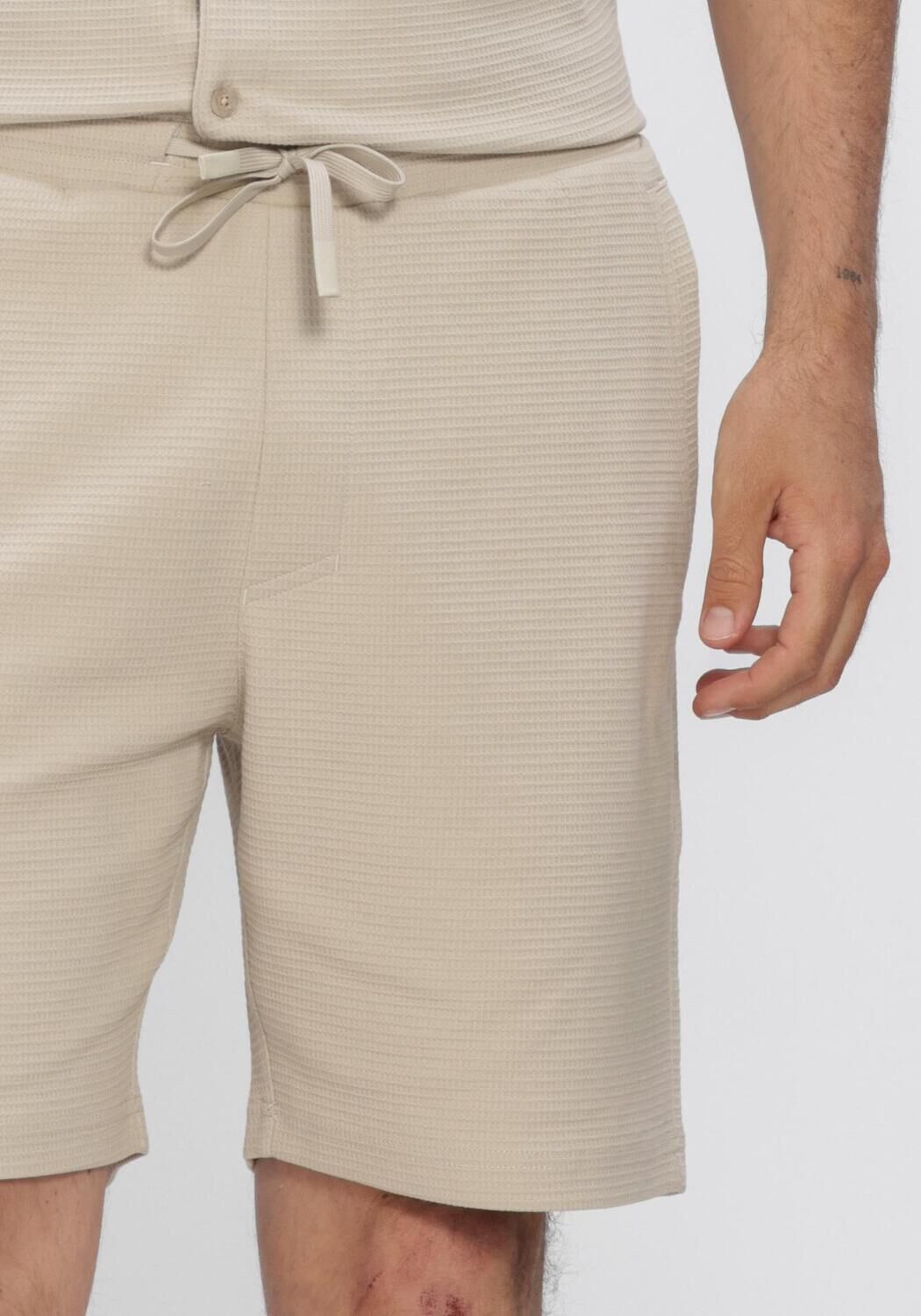 Beige CHASIN Kurze Hose 23110006_STONE.S STRUCTURE - large
