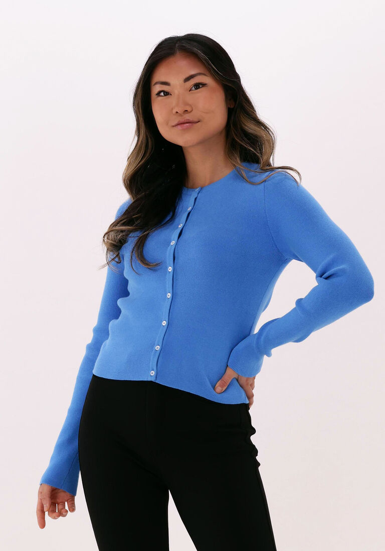 blaue vanilia strickjacke rib knit cardigan