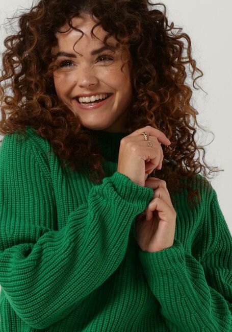 Grüne CIRCLE OF TRUST Rollkragenpullover NILA KNIT - large