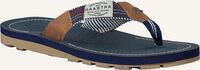 Blaue GAASTRA Zehentrenner GERTON Blaue GAASTRA Zehentrenner GERTON - medium