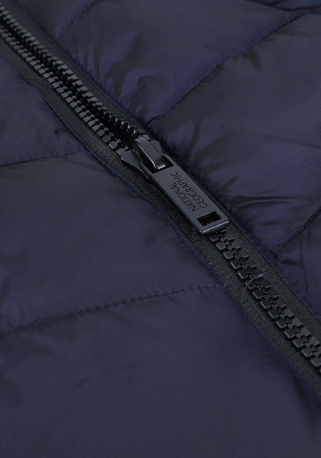 Dunkelblau NATIONAL GEOGRAPHIC Wattierte Jack RE DEVELOPED - large