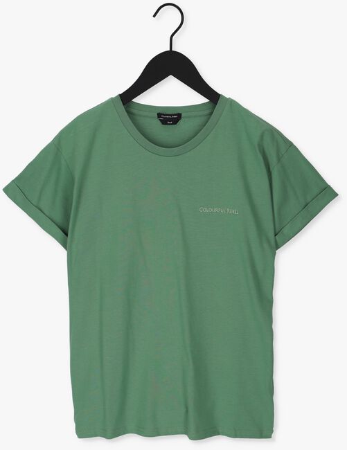 Grüne COLOURFUL REBEL T-shirt UNI BOXY TEE - large