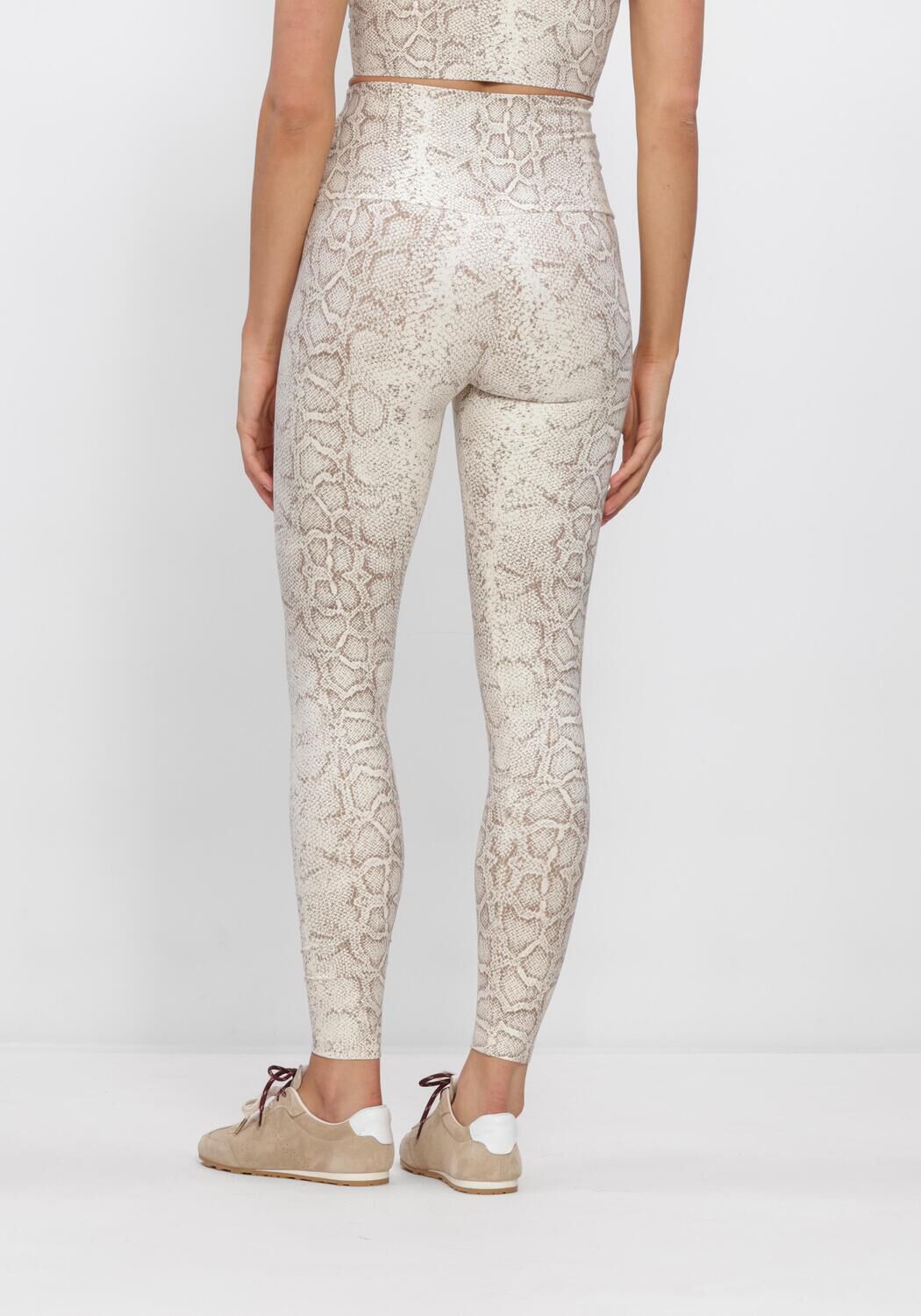 Braune DEBLON SPORTS Legging CLASSIC LEGGINGS HIGH WAISTBAND 2 - large