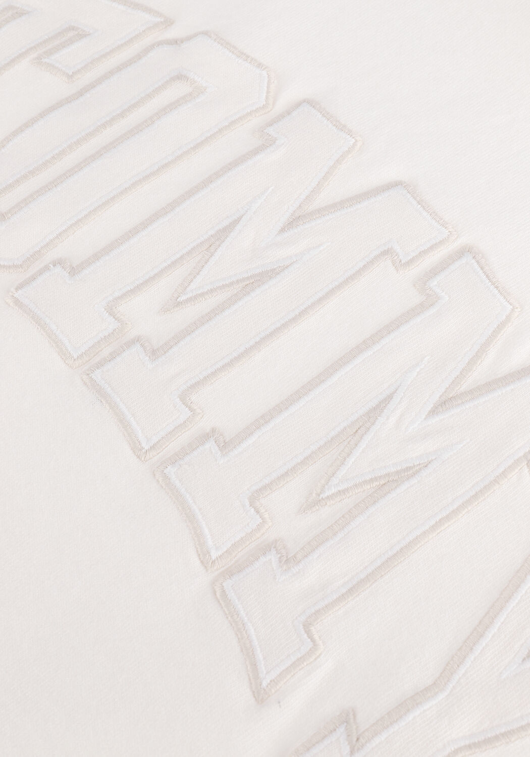 Wei&szlig;e TOMMY JEANS T-shirt TJM TONAL TOMMY COLLEGIATE TEE - large