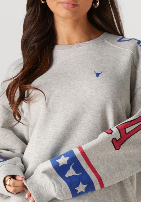 Graue ALIX THE LABEL Sweatshirt LADIES KNITTED SPORTS SWEATER - large