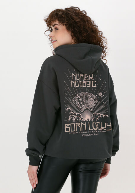 Graue COLOURFUL REBEL Sweatshirt BORN LUCKY EMBRO OVERSIZED HOO - large
