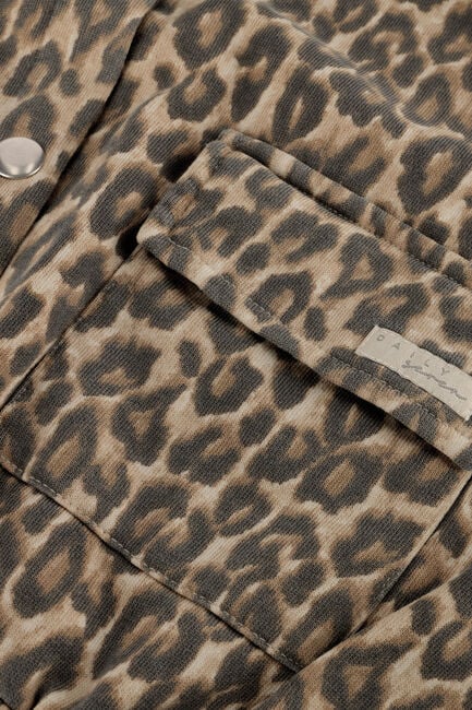 Mehrfarbige/Bunte DAILY7 Jack SWEAT JACKET PRINT - large